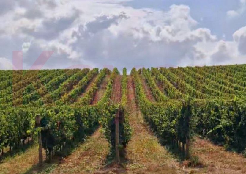 Продажа коммерции, 7000000 кв.м (Ферма) фото 0 Продажа коммерции, 7000000 кв.м (Ферма) фото 0