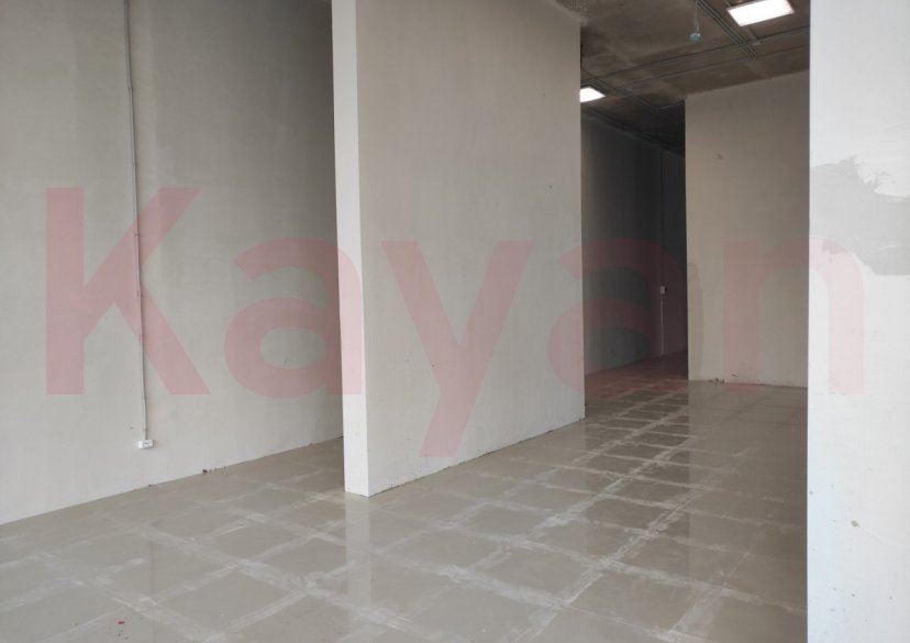 Аренда коммерции, 1046 кв.м (Клиника) фото 3