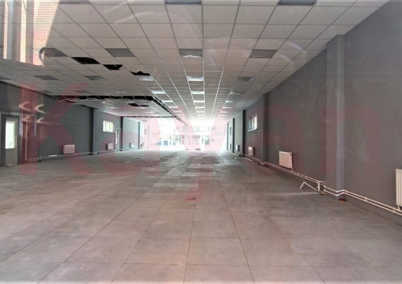 Продажа коммерции, 370 кв.м (Торговое) фото 3