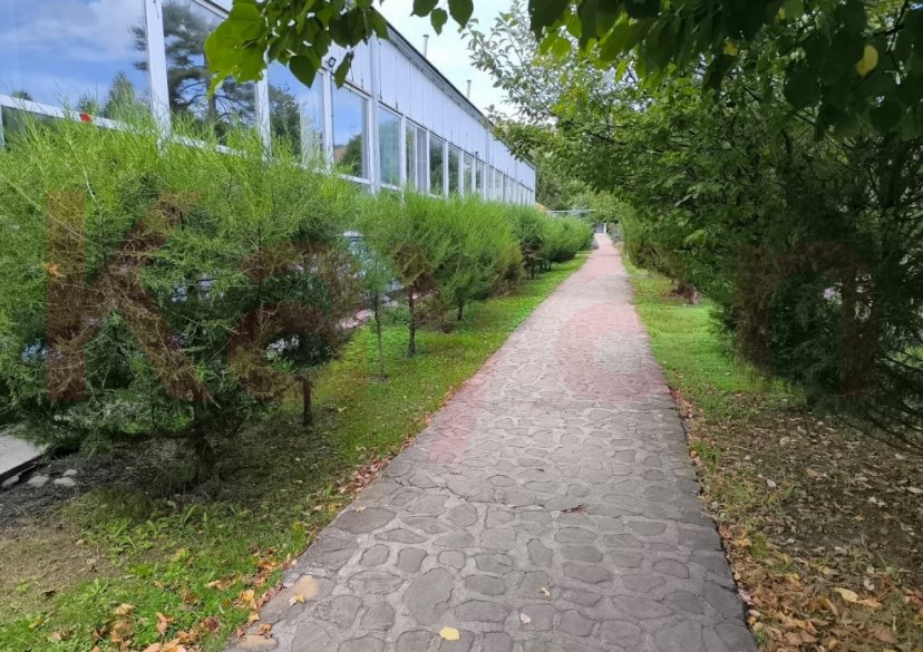 Продажа коммерции, 2800 кв.м (База отдыха) фото 19