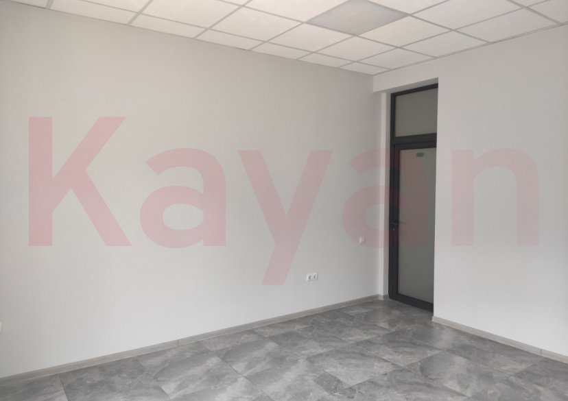 Аренда коммерции, 227 кв.м (Офисное) фото 12