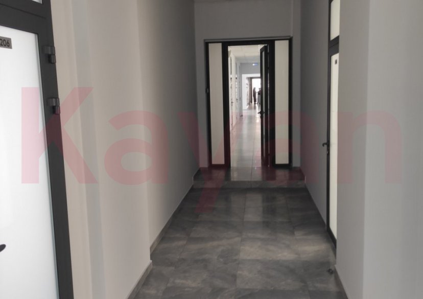 Аренда коммерции, 227 кв.м (Офисное) фото 3