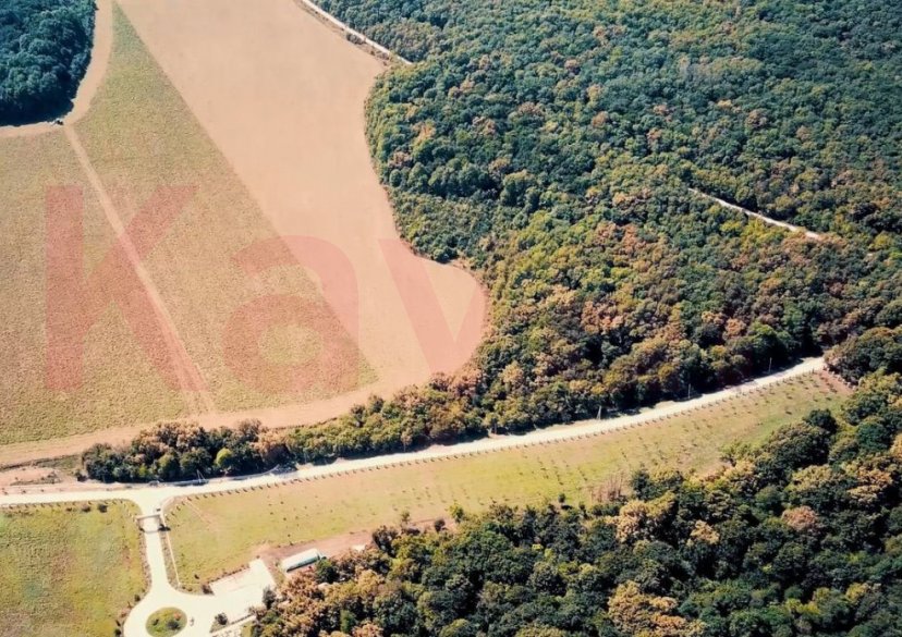 Продажа коммерции, 400 кв.м (Ферма) фото 4