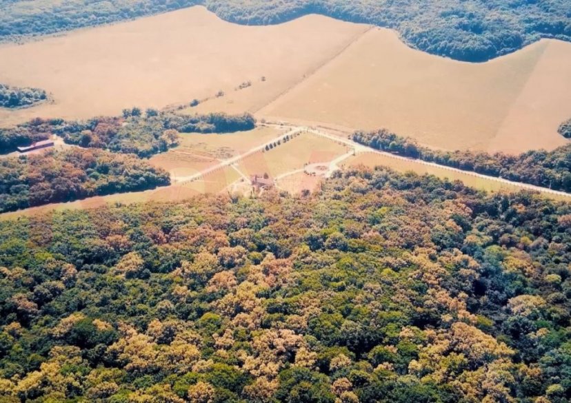 Продажа коммерции, 400 кв.м (Ферма) фото 3 Продажа коммерции, 400 кв.м (Ферма) фото 3