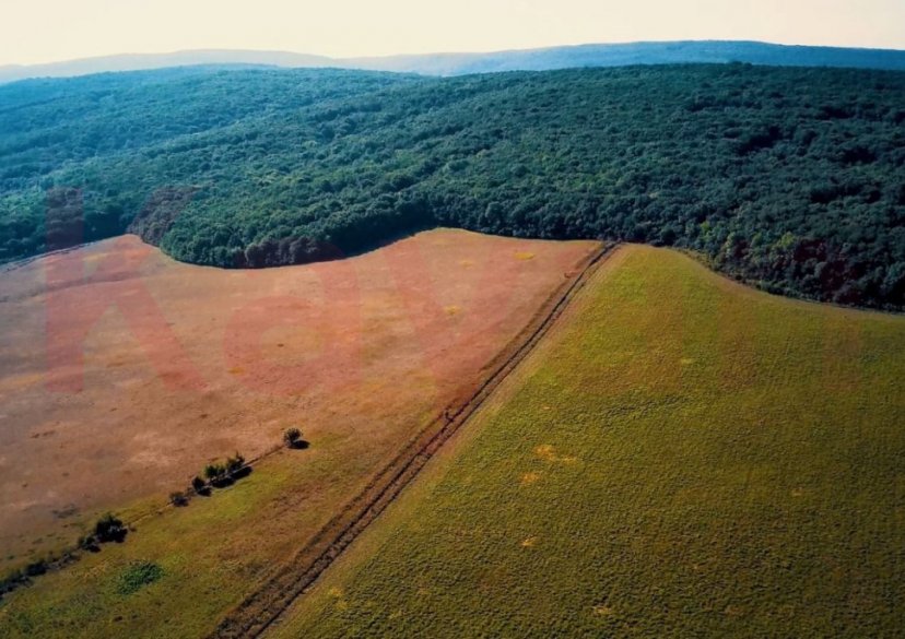 Продажа коммерции, 400 кв.м (Ферма) фото 5 Продажа коммерции, 400 кв.м (Ферма) фото 5