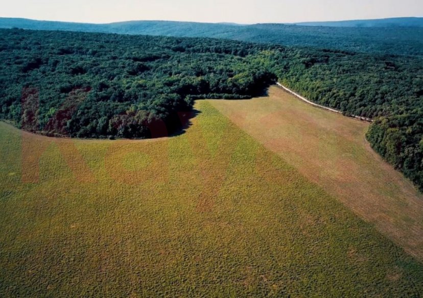 Продажа коммерции, 400 кв.м (Ферма) фото 6 Продажа коммерции, 400 кв.м (Ферма) фото 6