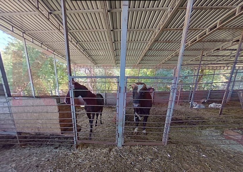 Продажа коммерции, 400 кв.м (Ферма) фото 8 Продажа коммерции, 400 кв.м (Ферма) фото 8