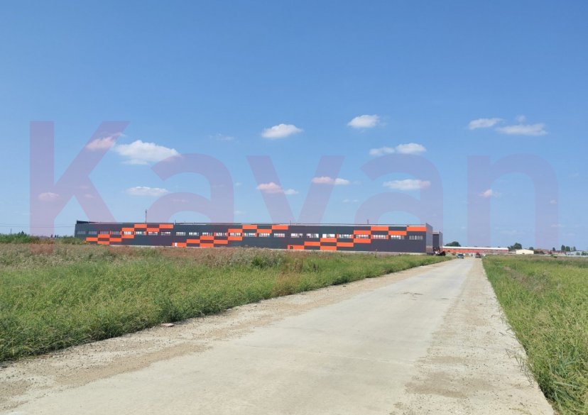 Продажа коммерции, 976 кв.м (Склад) фото 2