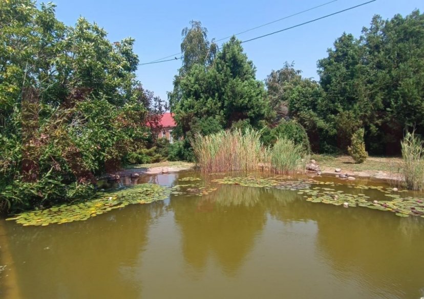 Аренда коммерции, 1787 кв.м (Склад) фото 21 Аренда коммерции, 1787 кв.м (Склад) фото 21