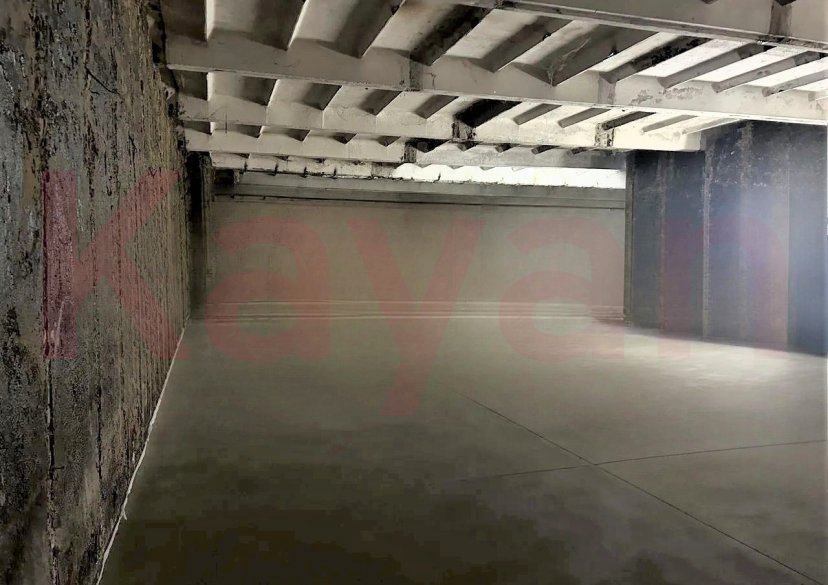 Аренда коммерции, 270 кв.м (Торговое) фото 4