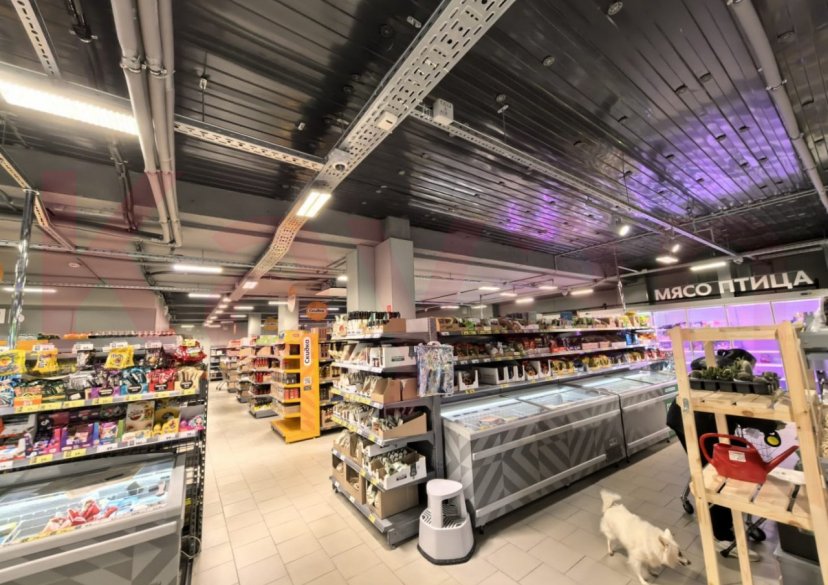 Продажа коммерции, 545 кв.м (Торговое) фото 3