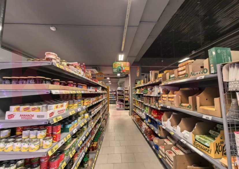 Продажа коммерции, 545 кв.м (Торговое) фото 4