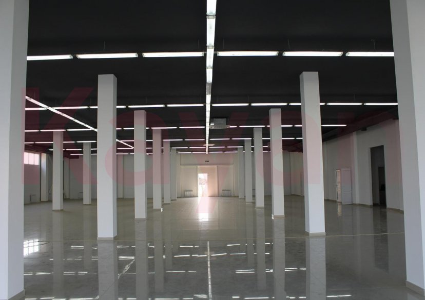 Аренда коммерции, 1950 кв.м (Свободного назначения) фото 2