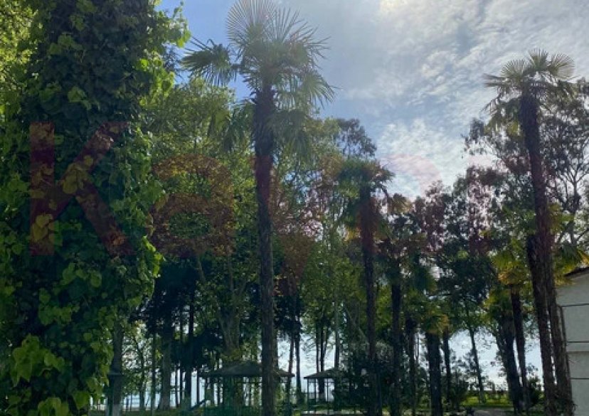 Продажа коммерции, 20000 кв.м (Пансионат) фото 4 Продажа коммерции, 20000 кв.м (Пансионат) фото 4