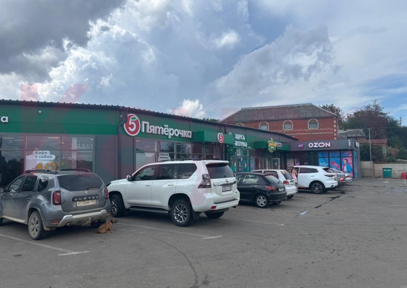 Продажа коммерции, 748 кв.м (Торговое) фото 0