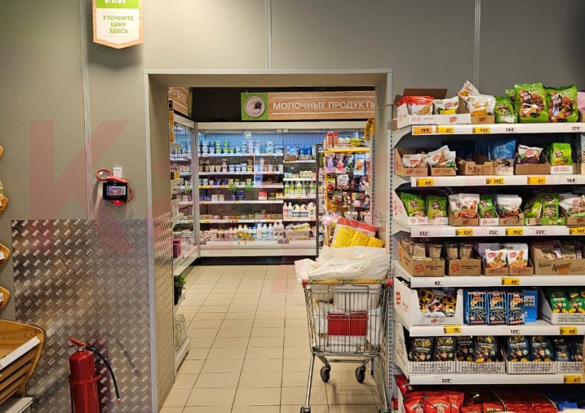 Продажа коммерции, 417 кв.м (Торговое) фото 2