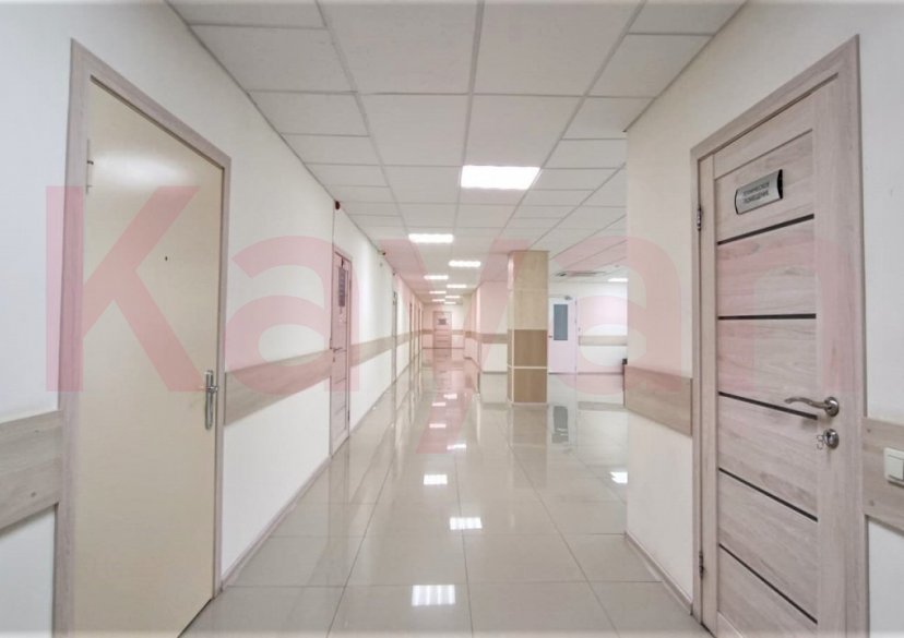 Аренда коммерции, 206 кв.м (Офис) фото 5 Аренда коммерции, 206 кв.м (Офис) фото 5