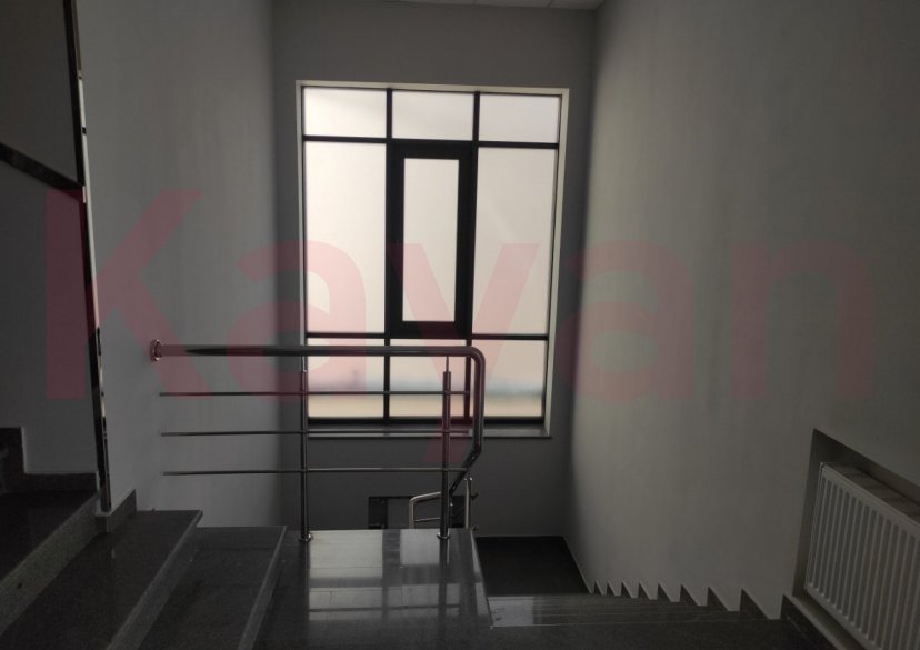 Аренда коммерции, 344 кв.м (Офисное) фото 3