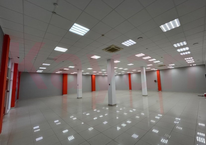 Аренда коммерции, 315 кв.м (Торговое) фото 14 Аренда коммерции, 315 кв.м (Торговое) фото 14