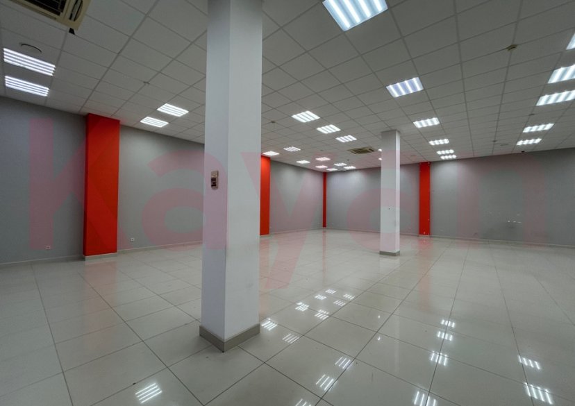 Аренда коммерции, 315 кв.м (Торговое) фото 12