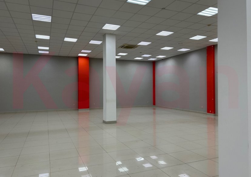 Аренда коммерции, 315 кв.м (Торговое) фото 15