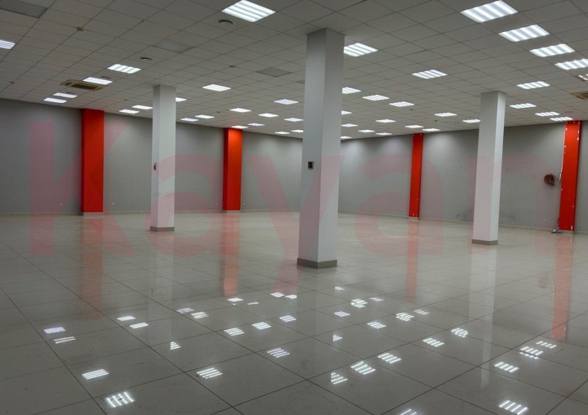 Аренда коммерции, 315 кв.м (Торговое) фото 8