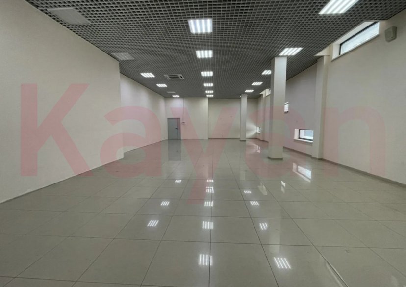 Аренда коммерции, 150 кв.м (Торговое) фото 2