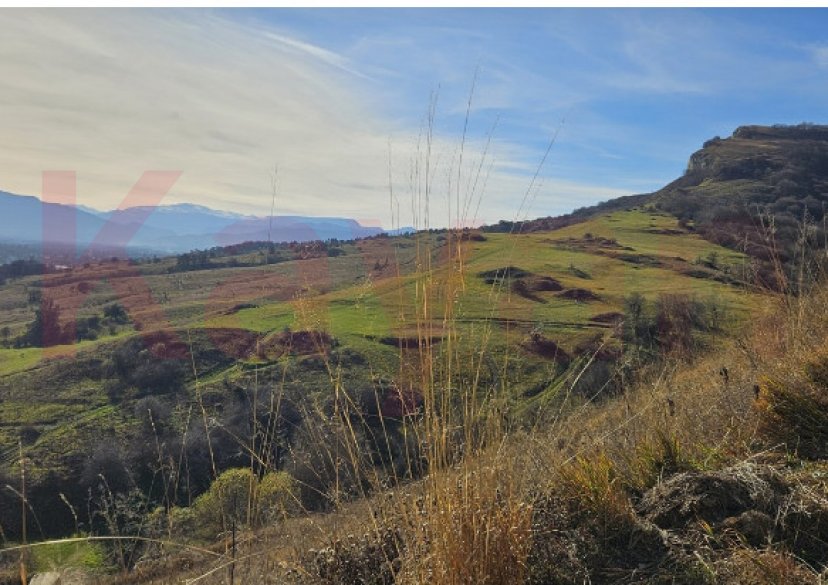 Продажа коммерции, 2800 кв.м (База отдыха) фото 3