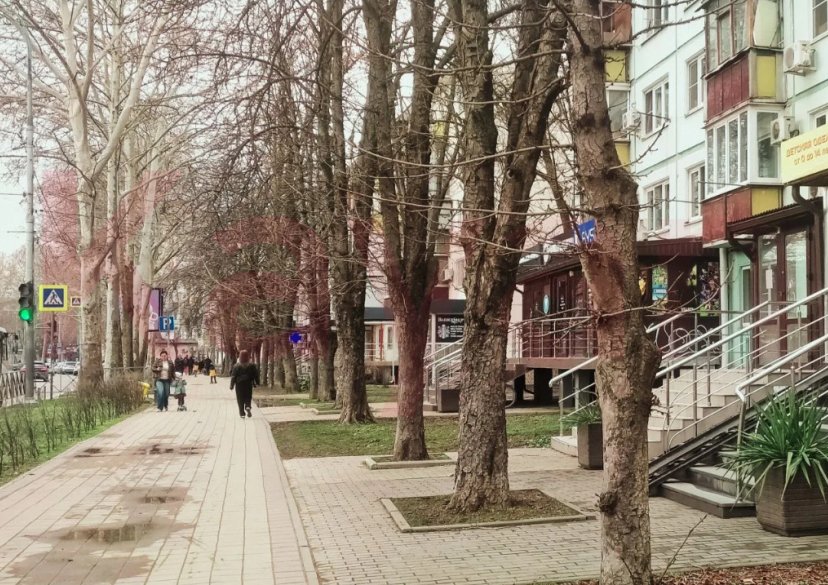 Продажа коммерции, 52 кв.м (Свободного назначения) фото 5