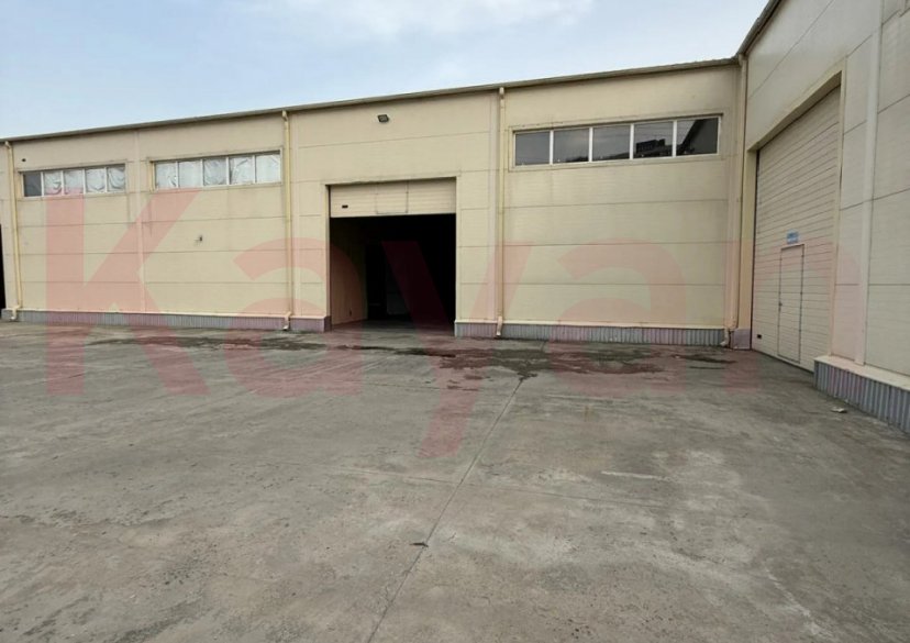 Аренда коммерции, 1730 кв.м (Производственное) фото 5