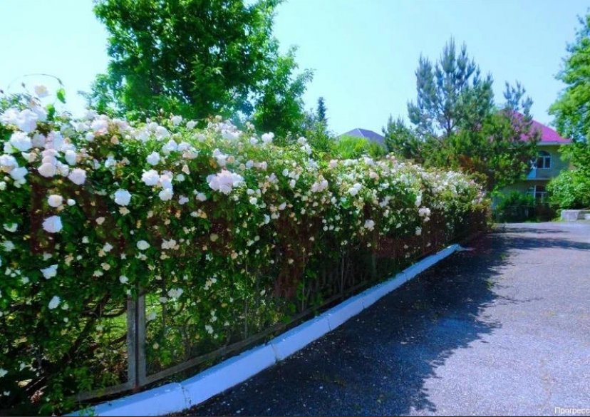 Продажа коммерции, 1800 кв.м (База отдыха) фото 8