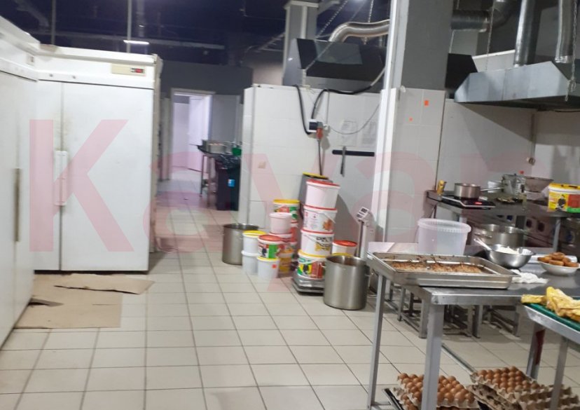 Продажа коммерции, 845 кв.м (Торговое) фото 3