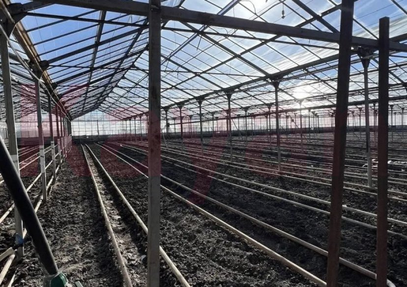 Продажа коммерции, 8295 кв.м (Производственное) фото 7
