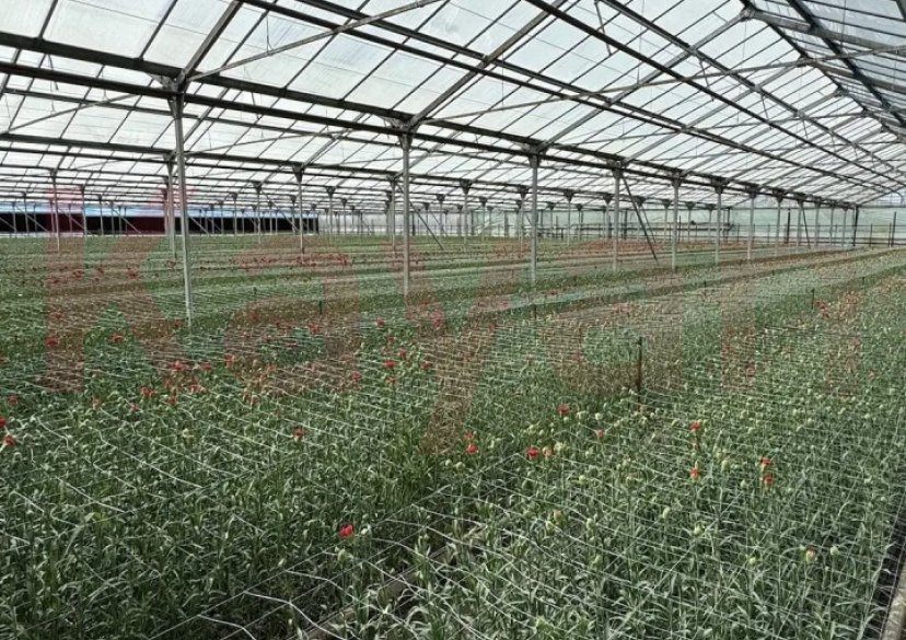 Продажа коммерции, 8295 кв.м (Производственное) фото 0