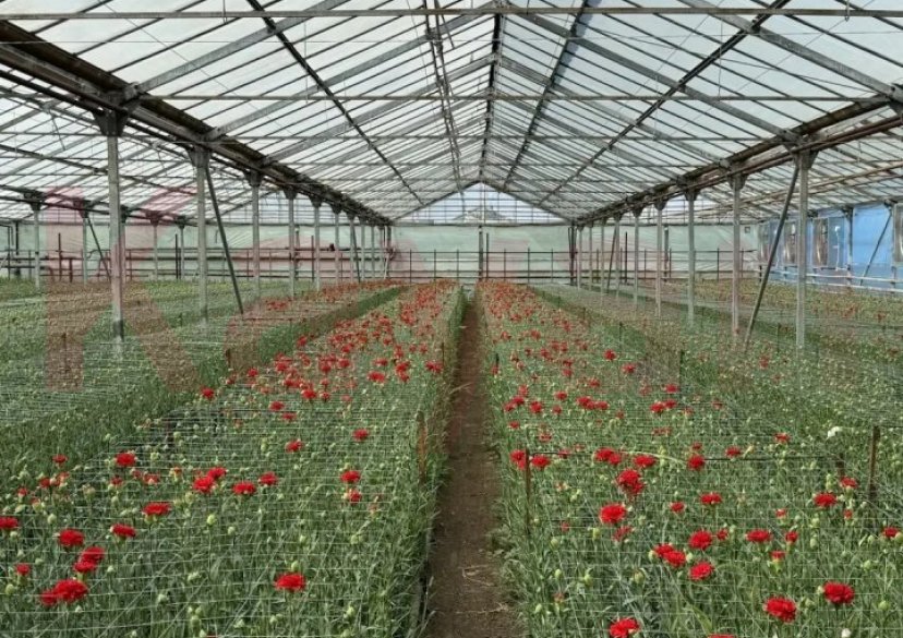Продажа коммерции, 8295 кв.м (Производственное) фото 4