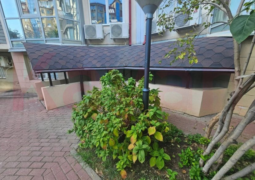 Аренда коммерции, 256 кв.м (Свободного назначения) фото 4 Аренда коммерции, 256 кв.м (Свободного назначения) фото 4