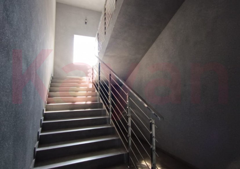 Аренда коммерции, 1000 кв.м (Торговое) фото 15