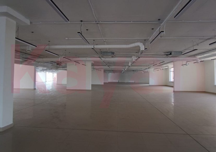 Аренда коммерции, 1000 кв.м (Торговое) фото 16