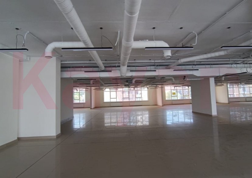 Аренда коммерции, 1000 кв.м (Торговое) фото 17