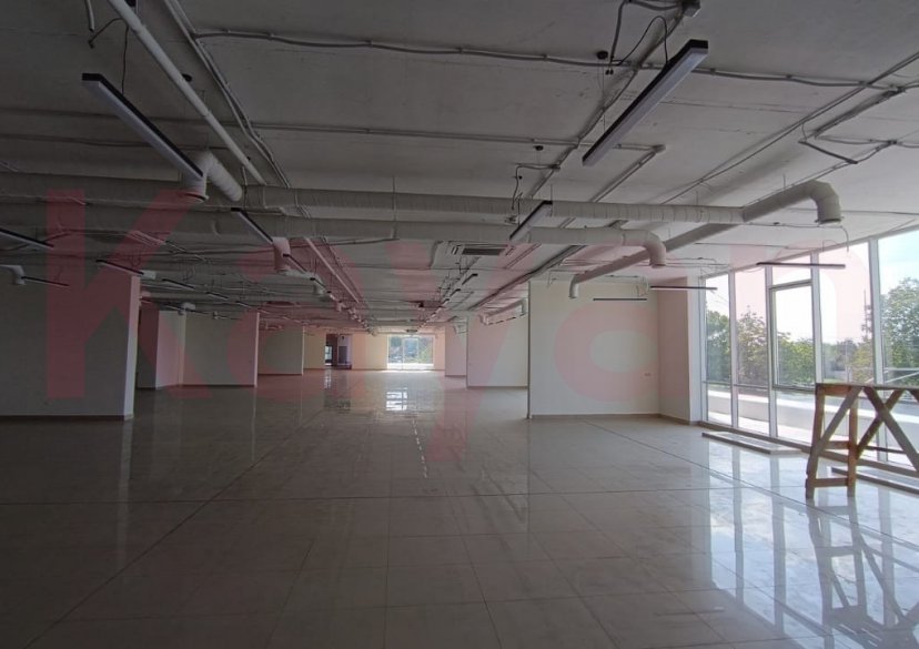 Аренда коммерции, 1000 кв.м (Торговое) фото 4