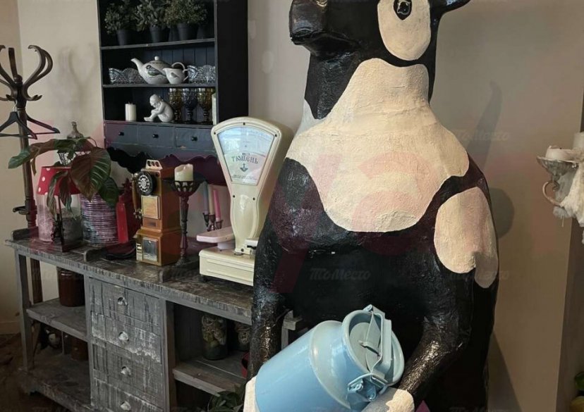 Продажа коммерции, 580 кв.м (Свободного назначения) фото 10