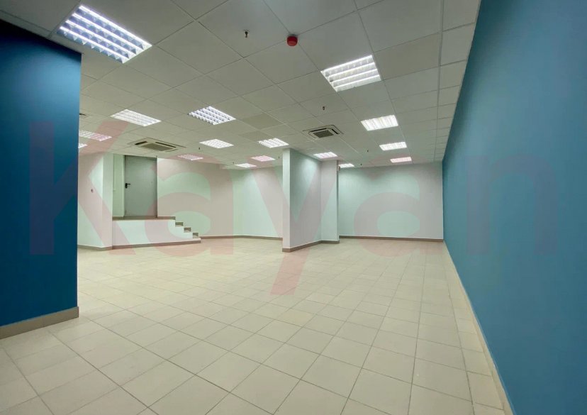 Продажа коммерции, 109 кв.м (Другое) фото 6