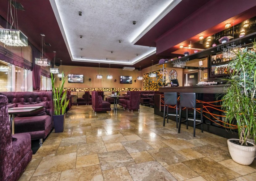 Продажа коммерции, 1250 кв.м (Готовый бизнес) фото 0