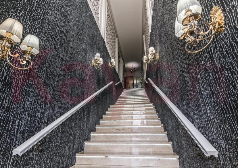 Продажа коммерции, 1250 кв.м (Готовый бизнес) фото 3