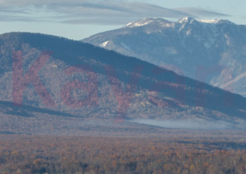 Продажа коммерции, 85000 кв.м (База отдыха) фото 4 Продажа коммерции, 85000 кв.м (База отдыха) фото 4