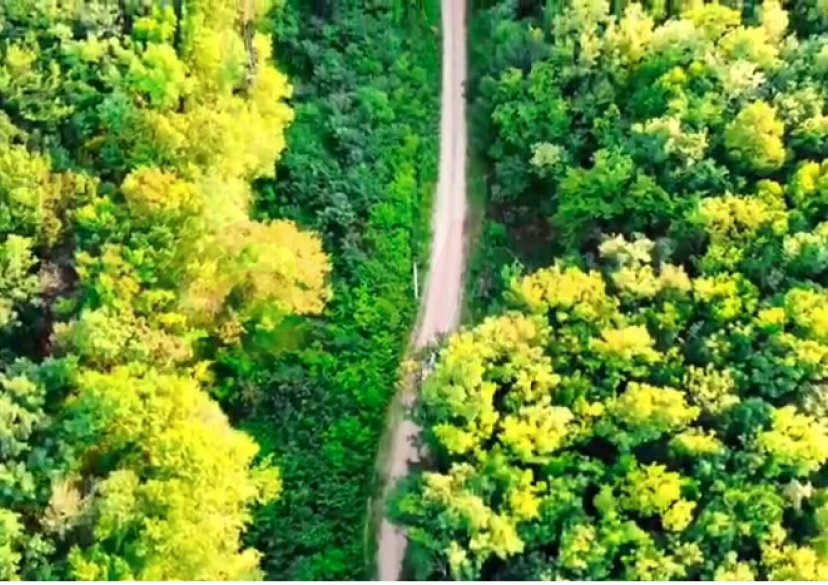 Продажа коммерции, 85000 кв.м (База отдыха) фото 9