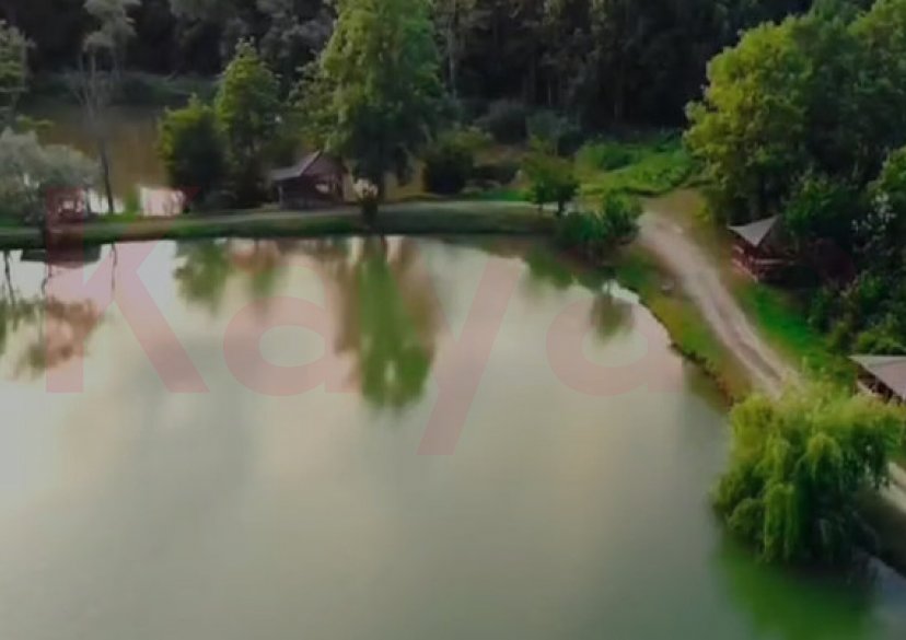 Продажа коммерции, 85000 кв.м (База отдыха) фото 11 Продажа коммерции, 85000 кв.м (База отдыха) фото 11