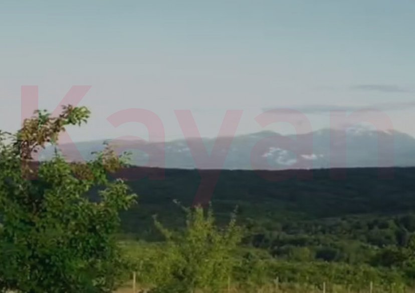 Продажа коммерции, 85000 кв.м (База отдыха) фото 20 Продажа коммерции, 85000 кв.м (База отдыха) фото 20