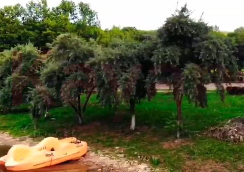 Продажа коммерции, 8500 кв.м (База отдыха) фото 14 Продажа коммерции, 8500 кв.м (База отдыха) фото 14