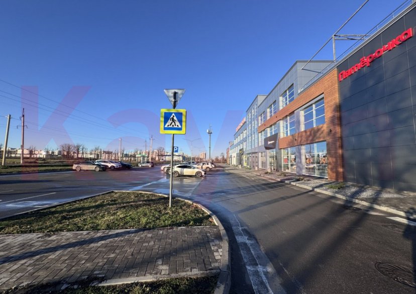 Аренда коммерции, 341 кв.м (Торговое) фото 7